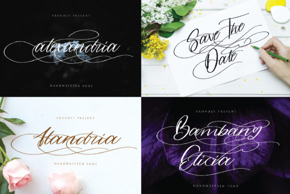Alandria Font Review: Elegant Script for Branding