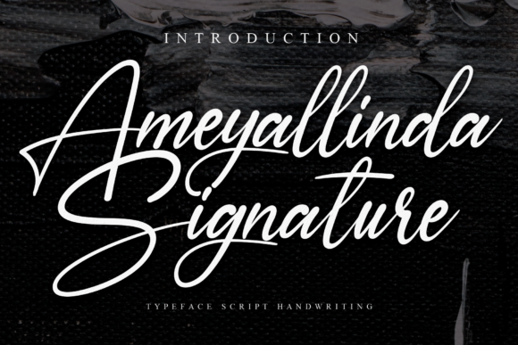 Ameyallinda Signature Font for Modern Branding