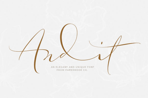 Andit: The Elegant Script Handwritten Font for Makers