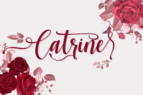 Catrine Font: Elegant Script for Web Design