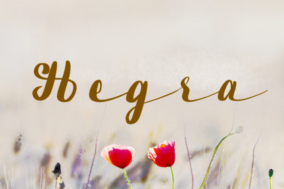Hegra Font Review for Modern Campaign Design