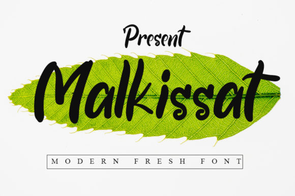 Malkissat Font: Elevate Your Campaign Visuals