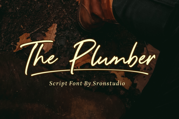 The Plumber: Elegant Script Font for Web Design